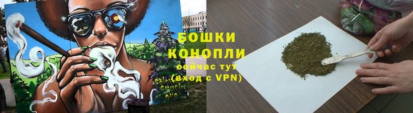 PSILOCYBIN Аркадак