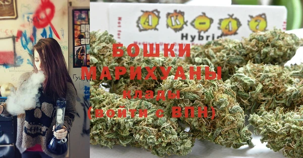 стаф Армянск
